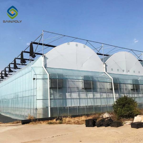 Buy cheap Sawtooth Top Ventilation Agricultural Glass Greenhouse 9.6m Multi Span from wholesalers
