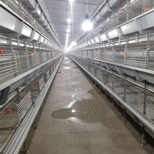 Buy cheap Big Size 85*62.5*50 Cm Broiler Chicken Cage Baby Chick Used from wholesalers