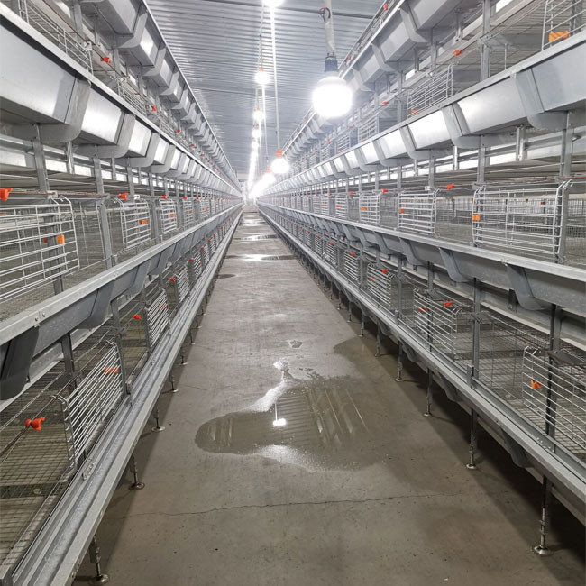 Newest Design Baby Chicks Broiler Chicken Cage 102 Birds 136 Birds