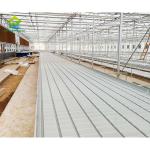 Ebb And Flow Vertical Grow Flood Table Film Greenhouse Rolling Benches