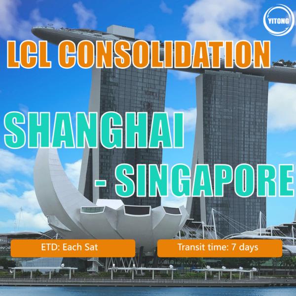 Buy cheap LCL Shipping Agent Sea Freight From Shanghai To Singapore from wholesalers