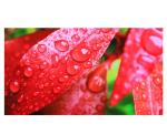 P1.25 P1.5 P1.6 P1.8 Ultral HD Small Pixel Front Service LED Display Screen