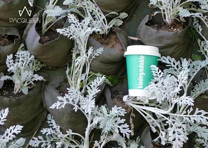 Double Wall Takeaway Coffee Cups High Temperature Resistant For Hot Chocolate
