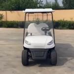 8 Seater Electric Golf Cart Luxury Outdoor Transporting Visitors Amusement Parks