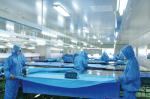 Durable SMS Disposable Surgical Packs Sterile Cath Lab Kit In Blue Color