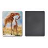 Buy cheap 3D Lenticular Dolphin Fridge Magnet Eco - Friendly 0.6mm PET Material from wholesalers