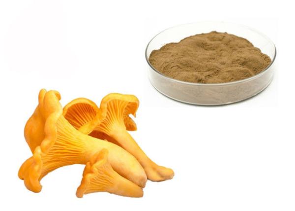 Buy cheap 30% Polysaccharides Chantarelle Mushroom Extract Powder from wholesalers