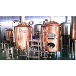 Stainless Steel 304 Mini Brewing Equipment for Food Grade Processing and