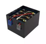 Compact 60 Volt 30AH Ev Lifepo4 Battery With Iron Case High Safety