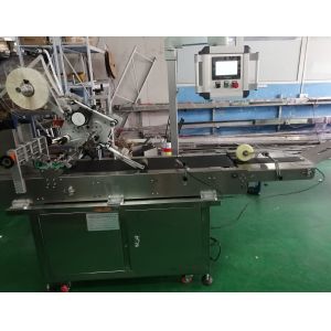 Small Fruit Carton Box Bag Labeling Machine 350mm 800W