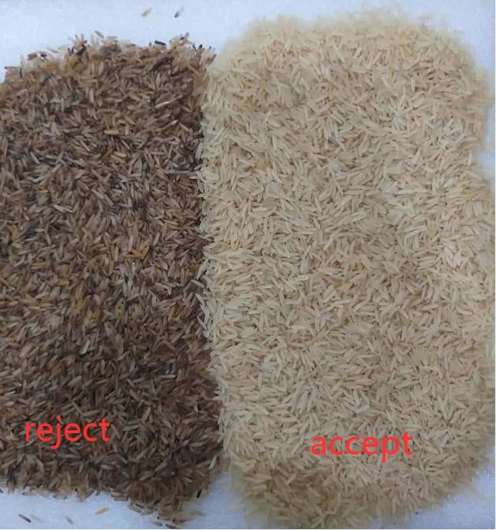 Wenyao Rice Color Sorter Four Chutes With WIFI Remote Control Service