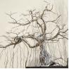 Buy cheap Commissioned Mirror Polished Casting Stainless Steel Little Tree Sculpture from wholesalers