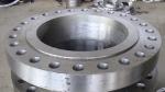 Steel Flanges RF SS304