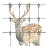 Buy cheap 8ft Height Agriculture Field 100m Veld Span Field Fence for Outdoor Animal Fencing Net from wholesalers