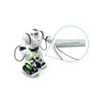 Customized 2.4v Nicd Rechargeable Battery Pack Ni-Cd SC Size