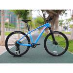 29 Inch MTB Carbon Fibre Mountain Bike With YBN S12S Chain And 160mm Brake Disc