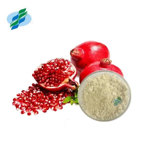 Buy cheap Water Soluble Pomegranate Peel Extract Ellagic Acid Skin Whitening from wholesalers