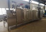 304 Stainless Steel Multi-functional Continuous Industrial Peanut Roaster