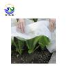 Buy cheap White PP Frost Anti Pull 180 Gram Agricultural Mulch Film from wholesalers