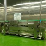 Custom Canned Fruit Production Line Apple Automatic Machines