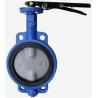 Buy cheap DN50 Cast Iron Wafer 2 Inch SS304 Butterfly Valve from wholesalers
