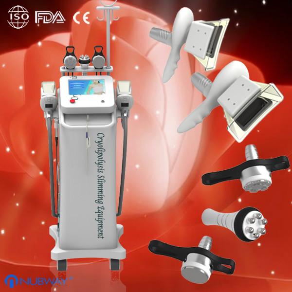 Buy cheap 2014 newest Cryolipolysis Slimming Machine from wholesalers