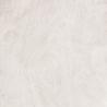 Buy cheap Moisture Proof White Wood Grain Vinyl Woodgrain Plastic Laminates from wholesalers
