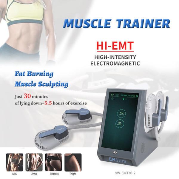 EMS Facial Machine with 2 Years Warranty Magnetic Vibration Intensity 1-10Tesla