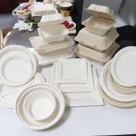 Bagasse Sugarcane Food Container