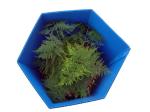 Polygonal Corrugated Plastic Tree Protectors Eco Friendly Weather Proof