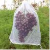 Buy cheap Free Sample Plastic Agriculture Fruit Protection Bags for Onion and Vegetable from wholesalers