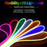 Dc 12v 600leds 6*12mm PVC Neon LED Strip Light Waterproof Flexible LED Light
