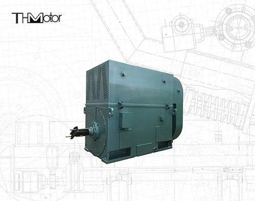 Quality Y630-12 3 Phase Asynchronous Squirrel Cage Induction Motor 710kw 496rpm for sale