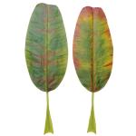 Fire Retardant Artificial Banana Leaves Outdoor For Events Evergreen Colored