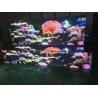 Buy cheap P4 Outdoor Advertising Full Color LED Screen Panel Board Display from wholesalers