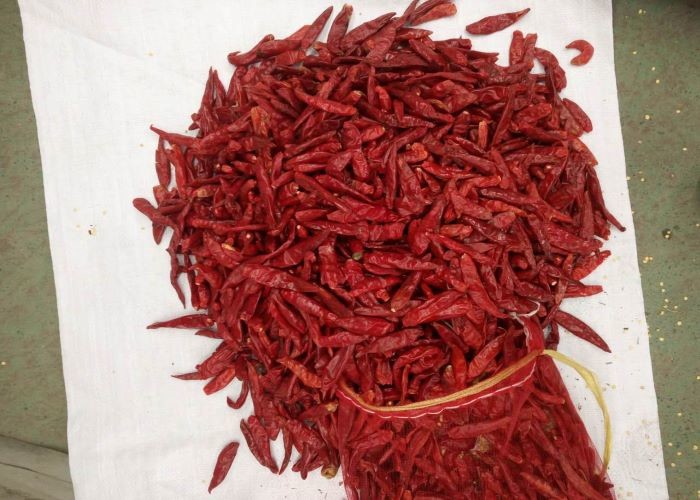 NO Pigment Spicy Dried Chiles Steam Sterilized Chili Pods For Tamales