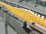 Large Capacity Orange Juice Making Machine , Orange Juice Production Line 2-3