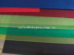 Die Cut Plastic OEM Rigid Transparent Color PVC Conveyor Belt PP PET Plastic