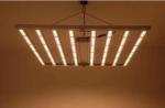 Full Spectrum Indoor LED Grow Lights Grow Lights For Plants 600w