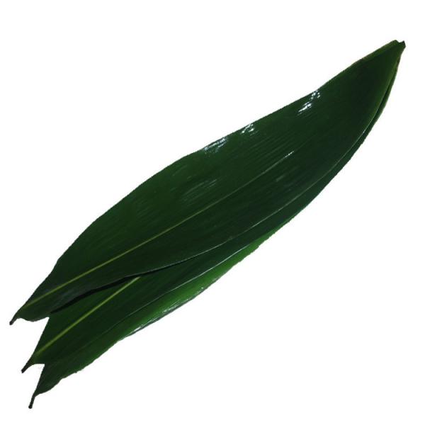 Buy cheap Vacuum Packed 23cm Fresh Bamboo Leaves For Rice Dumplings from wholesalers