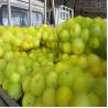 Buy cheap Thickness Customer's Demands Polypropylene Mesh Net Bag on Roll for Vegetables Fruits from wholesalers