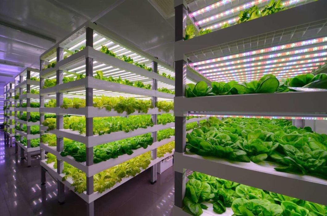 Vertical Farming Hydroponic Humidity Container Greenhouse