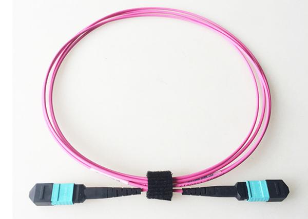 Buy cheap MTP / MPO Fiber Optic Patch Cord OM4 40G Twelve Cores 3MM LSZH Jacket from wholesalers