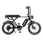 Full Suspension Rear Hub Motor Electric Bike With 48v 1000w Power And REMOVABLE