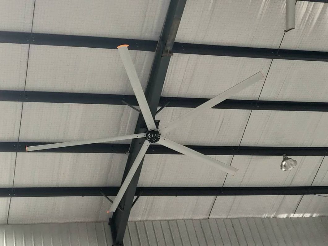 Large Hvls Industrial Ceiling Fan Application in Inner Basketball Sports Center