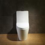Elongated Dual Flush One Piece Toilet Water Saving Patented Technology