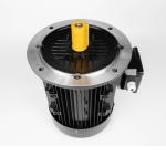 Buy cheap Internal Permanent Magnet Synchronous Motor , IPM Brushless Motor from wholesalers