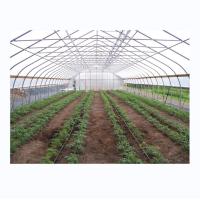 Buy cheap Cucumber Farming Small Agricultural Tunnel Greenhouse with Galvanized Steel product