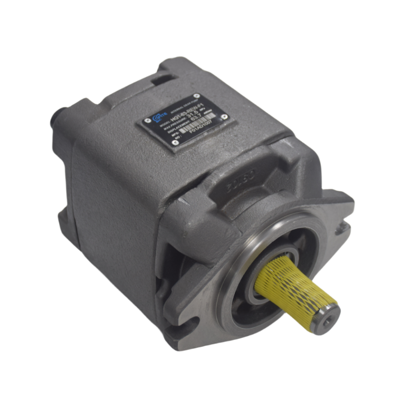 HG1 Fixed Displacement Hydraulic Internal Gear Pump HG1-25 HG1-32 HG1-40 HG1-50 HG1-63