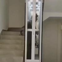 Buy cheap Rectangular Naked Cabin Hydraulic Home Elevator 1.0m/s Speed product